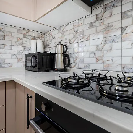 Spacious Flat Near Grand Mosque In Osmangazi Apartman *